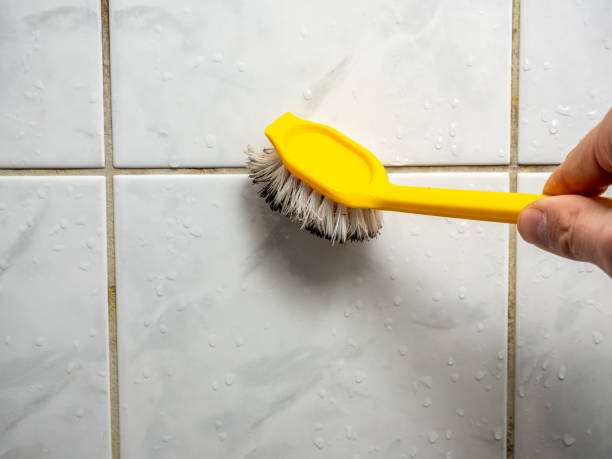 Best Same-Day Mold Removal  in Beloit, KS