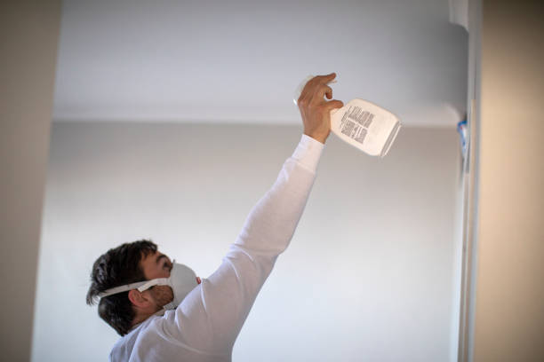 Best Mold Removal Company Near Me  in Beloit, KS