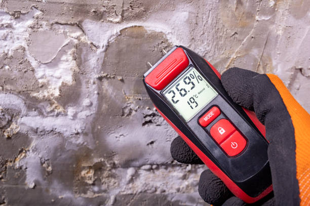 Best Water Damage Restoration  in Beloit, KS